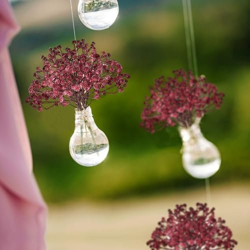 Maroon/Burgundy Babys Breath Flowers - Image 3