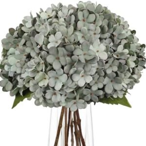 Fall Blue Hydrangeas