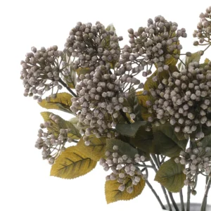 Berries Hydrangea Branch